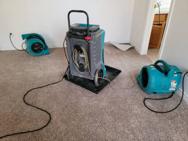 Best Mold removal after water damage  in Glenn Dale, MD