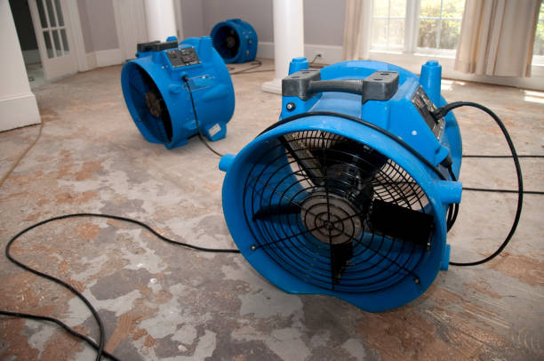 Best Carpet water damage restoration  in Glenn Dale, MD