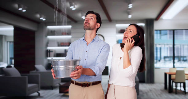 Glenn Dale, MD Water damage restoration Pros